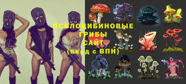 герыч Алзамай