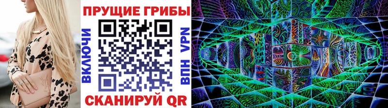 Псилоцибиновые грибы Magic Shrooms  Каргат 